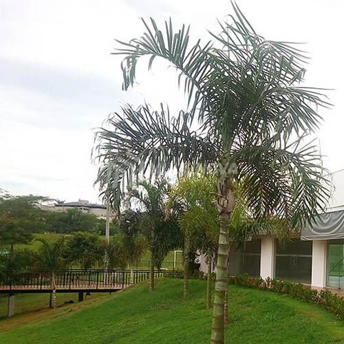 Terreno / Lote / Condomínio à venda, 13m² — foto 10 de 10