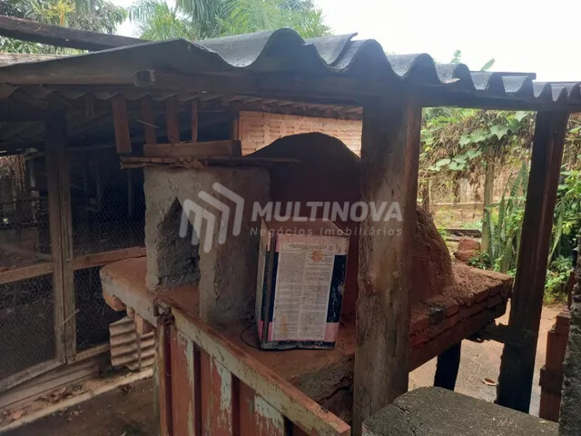 Fazenda / Sítio / Chácara com 4 quartos à venda, 3000m² — foto 3 de 7