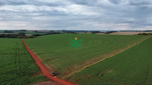 Propriedade rural a venda paraná