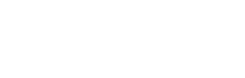 Fabiana Machado dos Santos