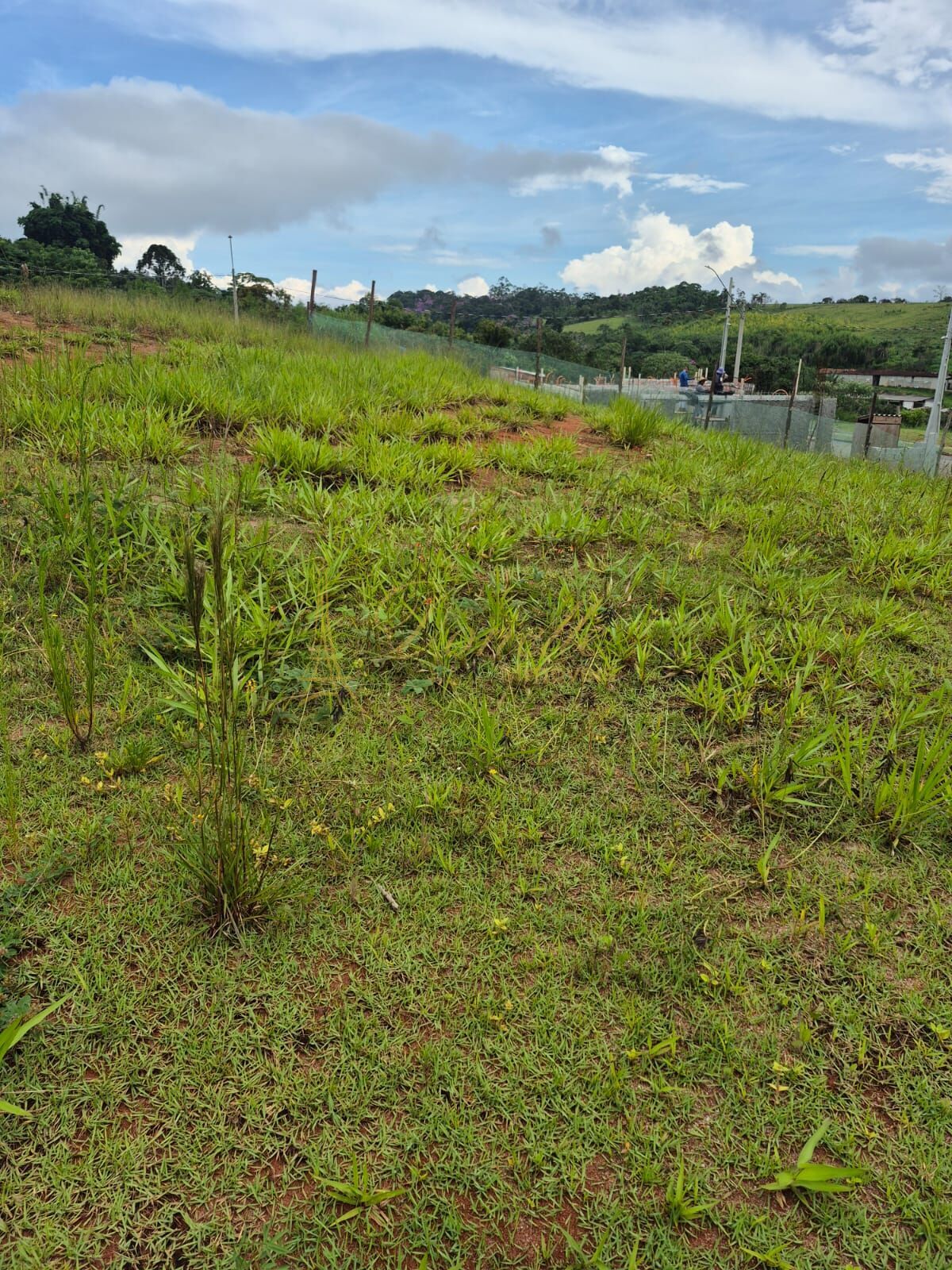 Terreno, 176 m² - Foto 6