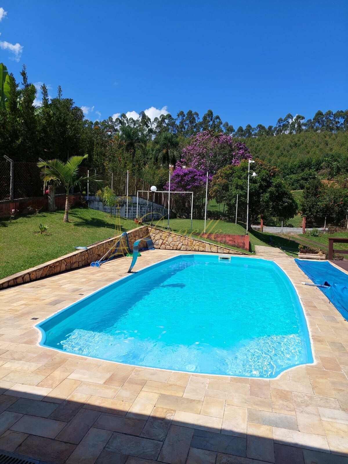 Sítio, 6 quartos, 2500 m² - Foto 3