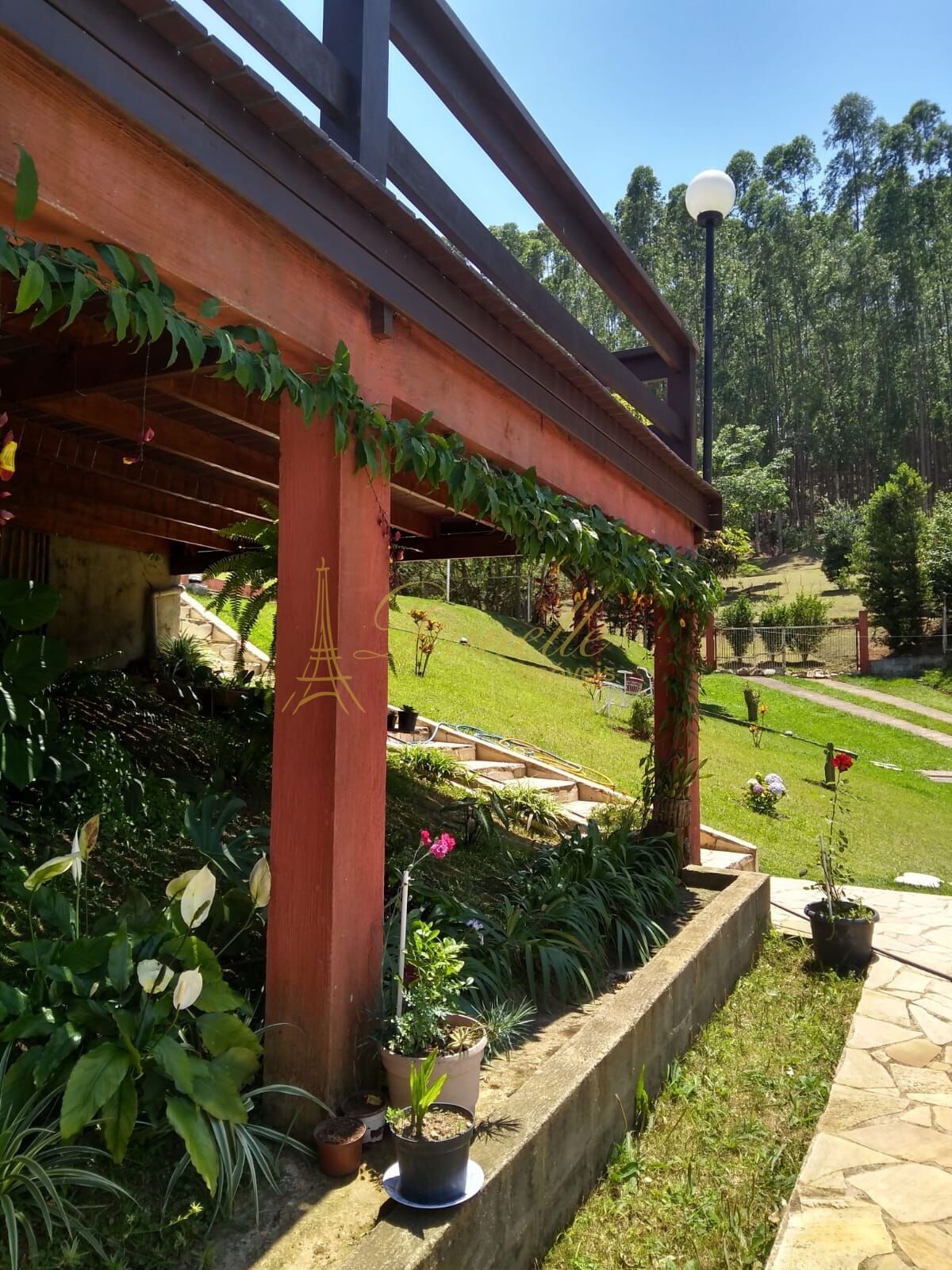 Sítio, 6 quartos, 2500 m² - Foto 8