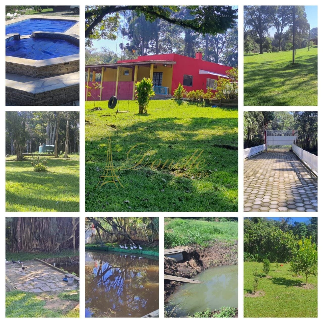 Sítio, 3 quartos, 3 hectares - Foto 12