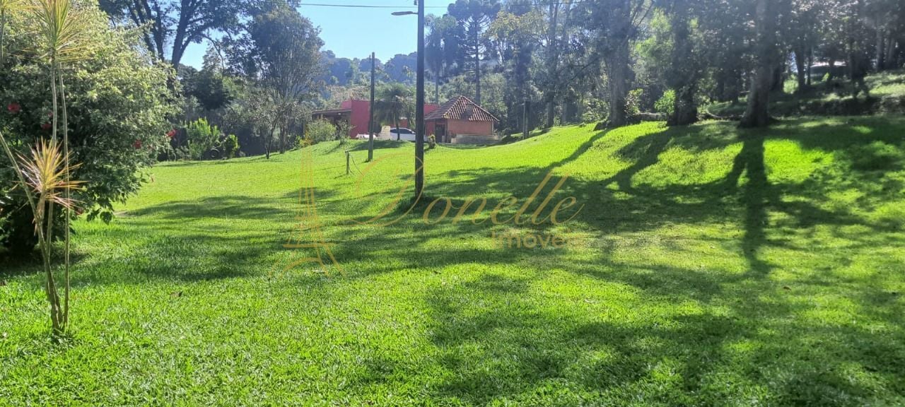 Sítio, 3 quartos, 3 hectares - Foto 4