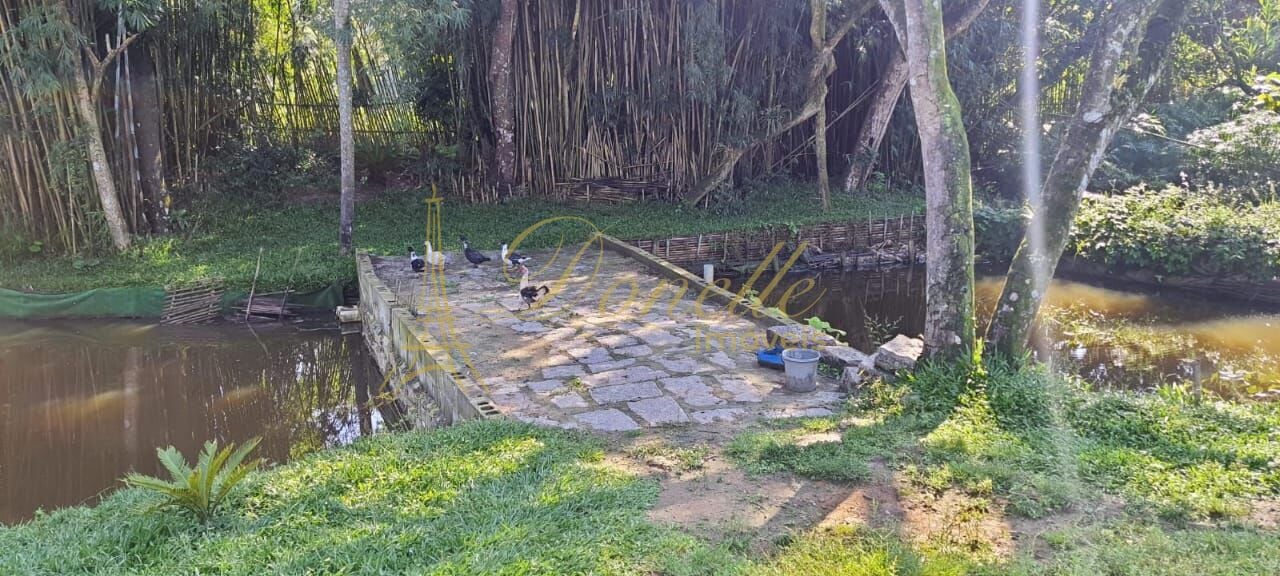 Sítio, 3 quartos, 3 hectares - Foto 17