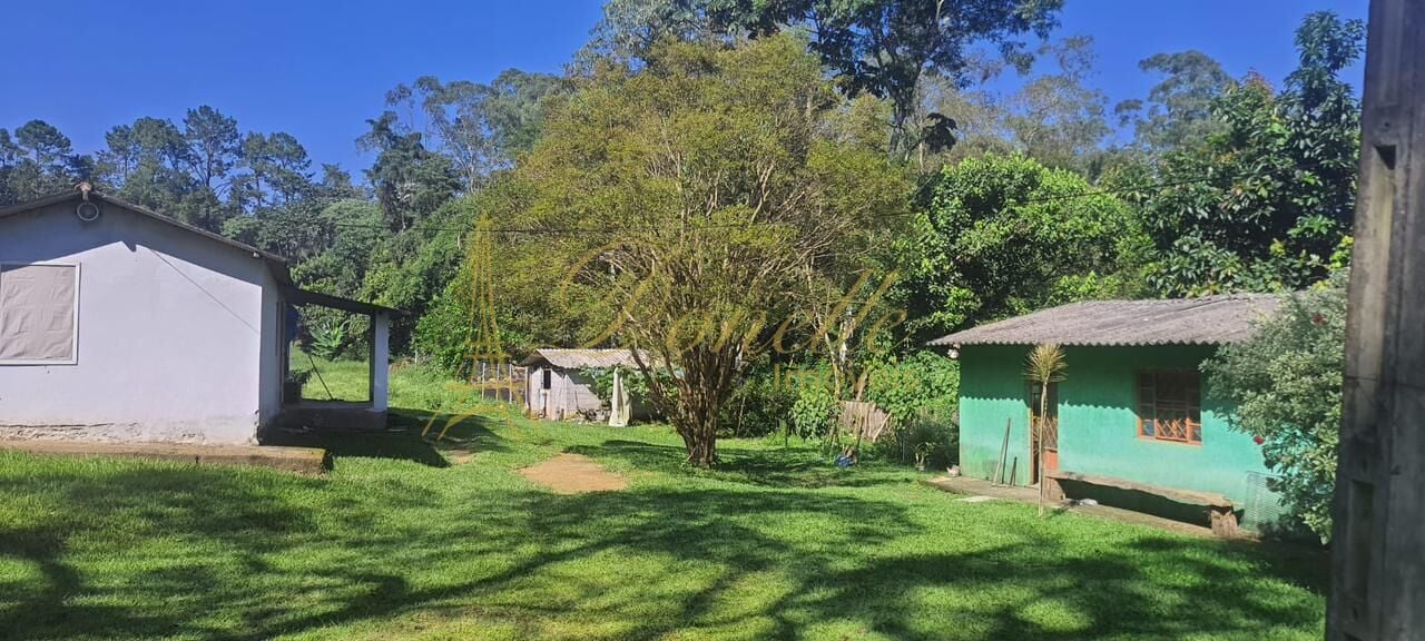 Sítio, 3 quartos, 3 hectares - Foto 19