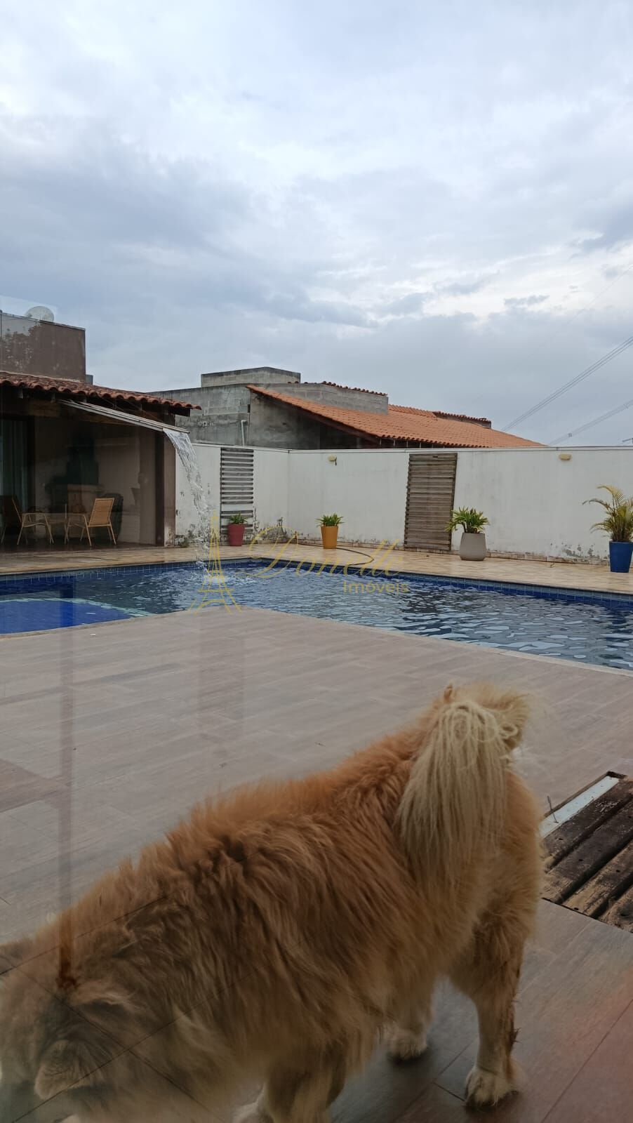 Casa, 4 quartos, 800 m² - Foto 8