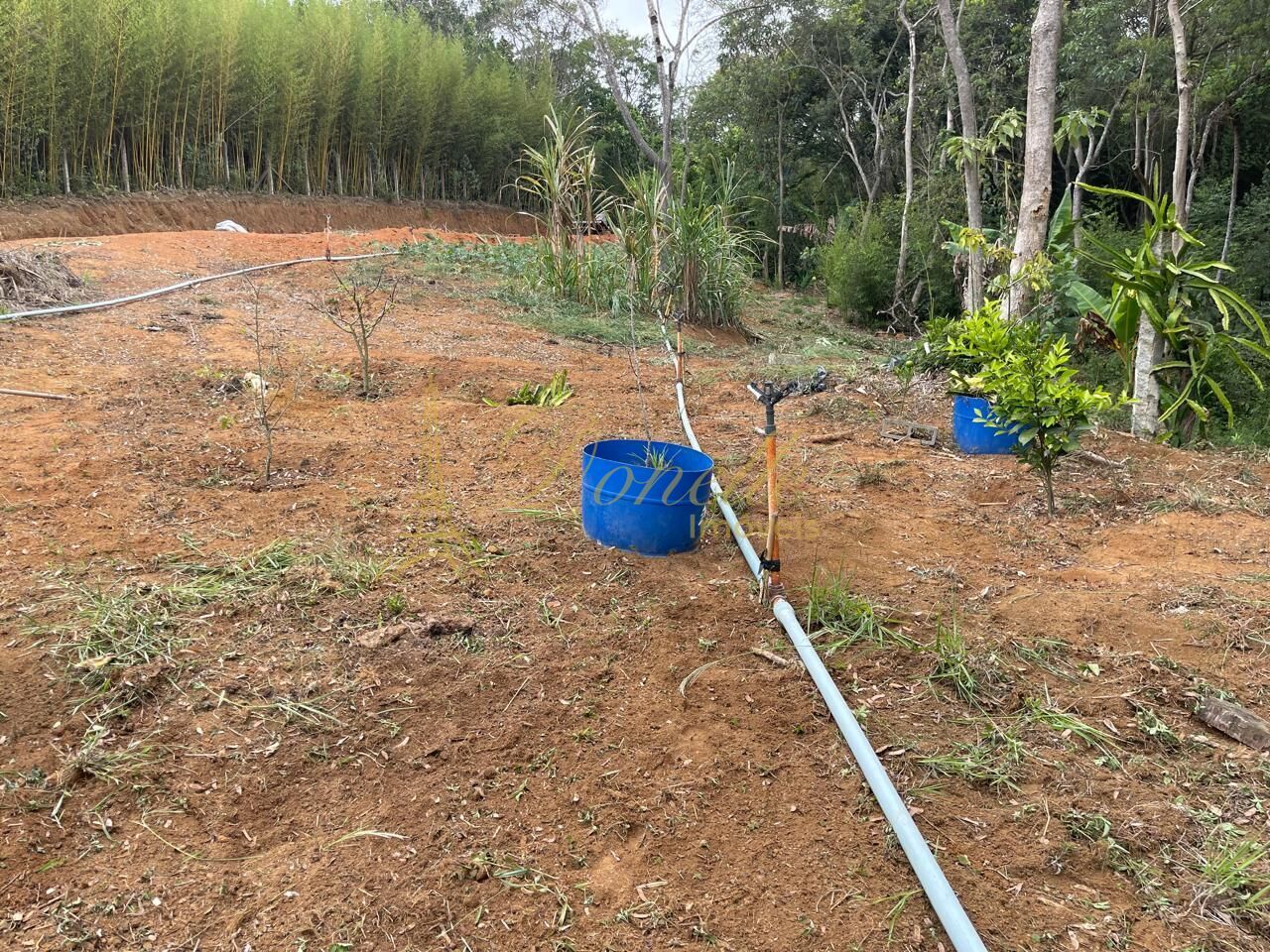 Chácara, 2 quartos, 2 hectares - Foto 11