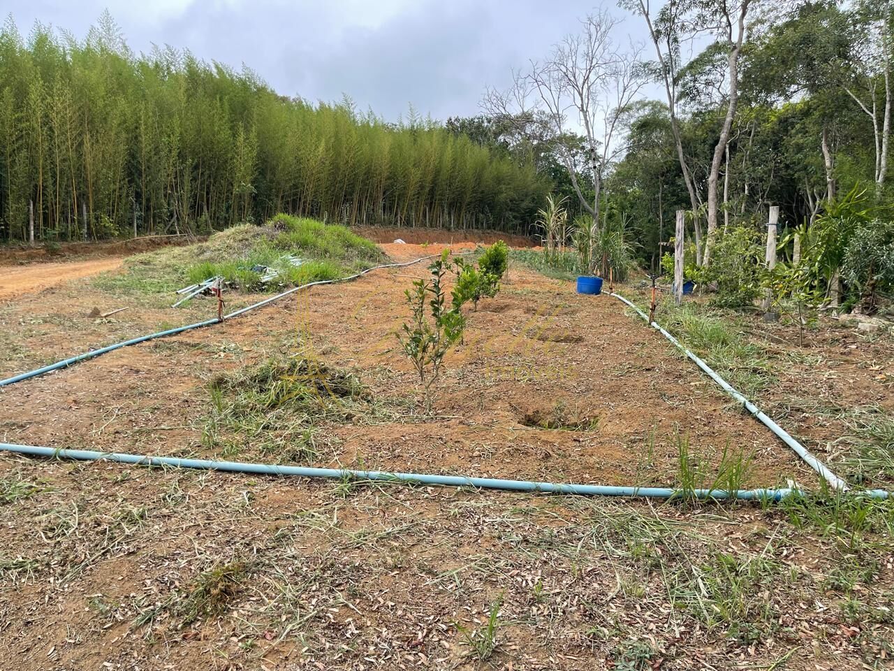 Chácara, 2 quartos, 2 hectares - Foto 9