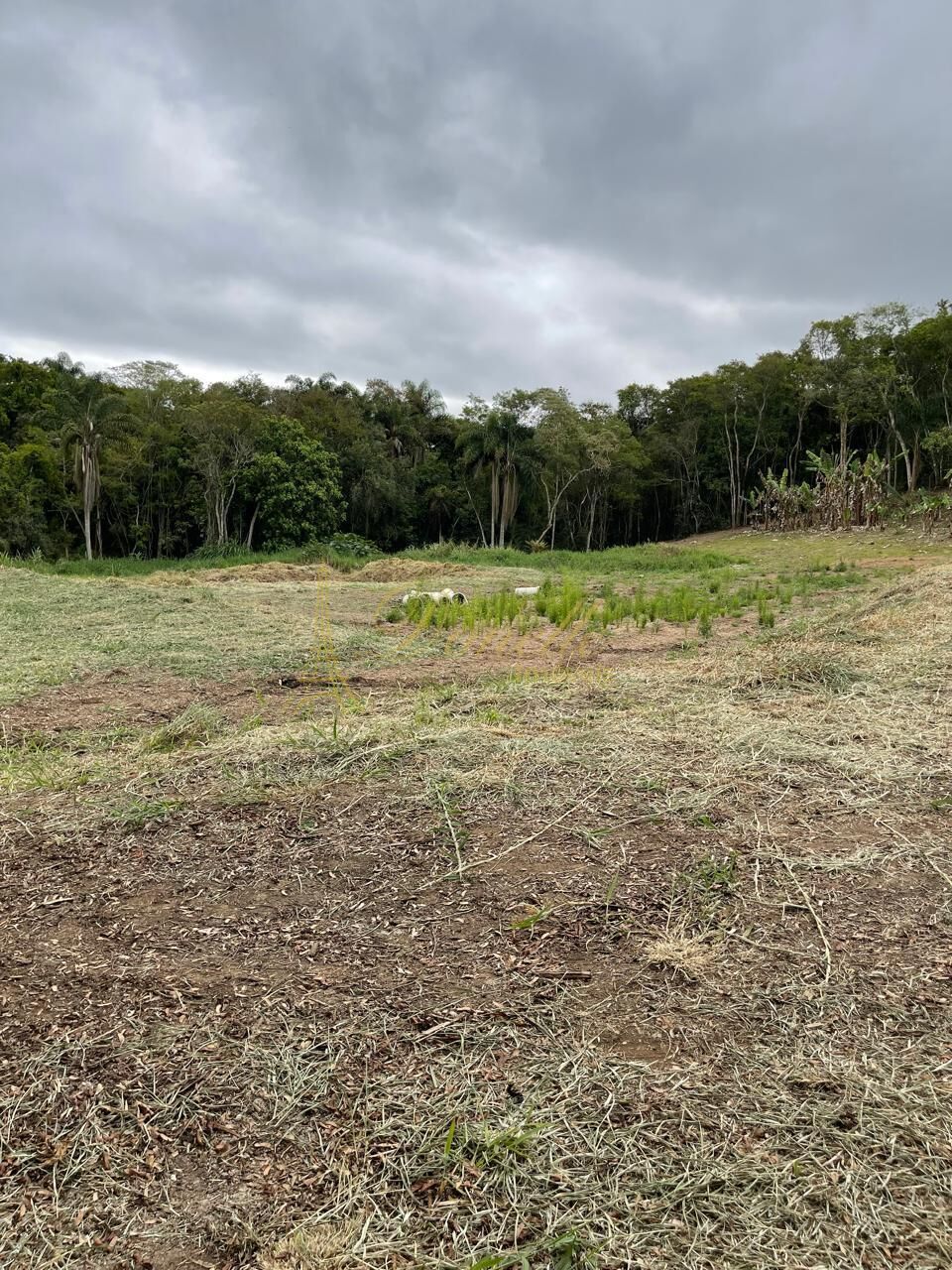 Chácara, 2 quartos, 2 hectares - Foto 7
