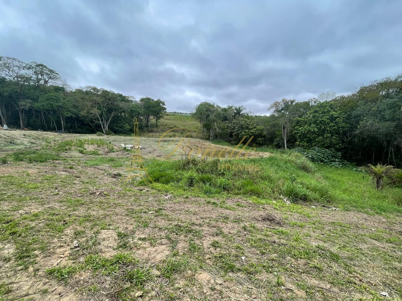 Chácara, 2 quartos, 2 hectares - Foto 24