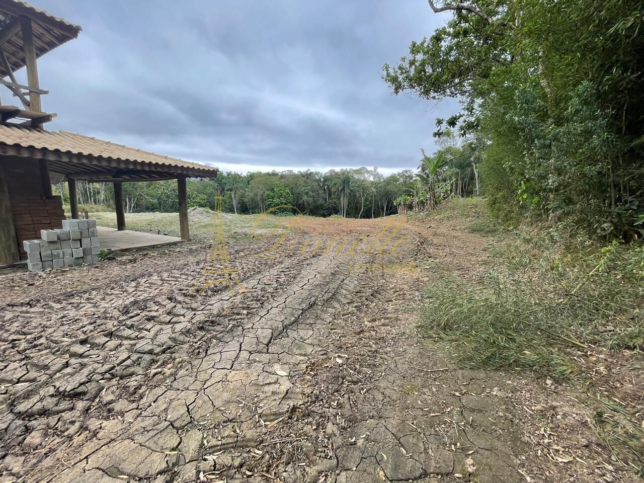 Chácara, 2 quartos, 2 hectares - Foto 17