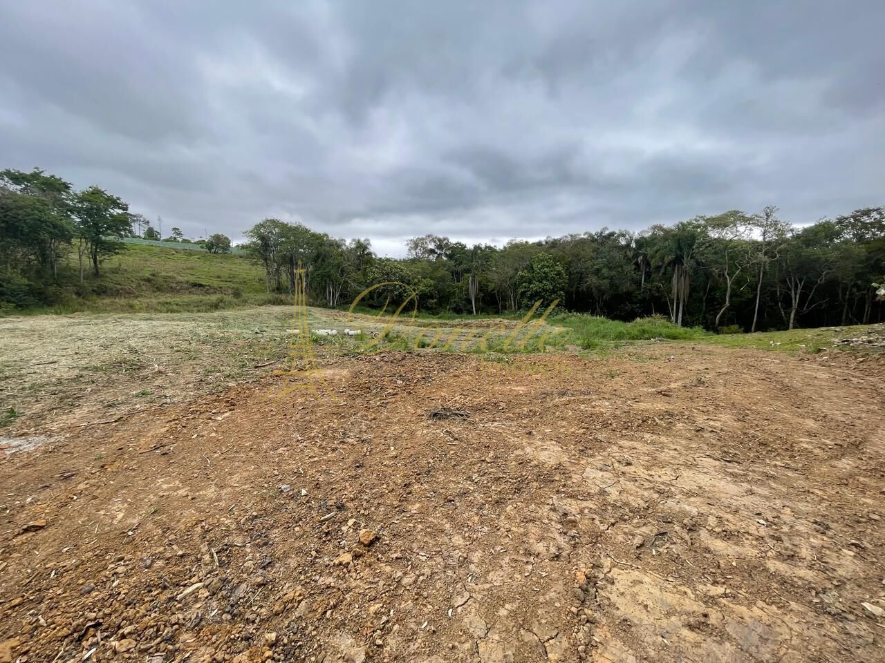 Chácara, 2 quartos, 2 hectares - Foto 18