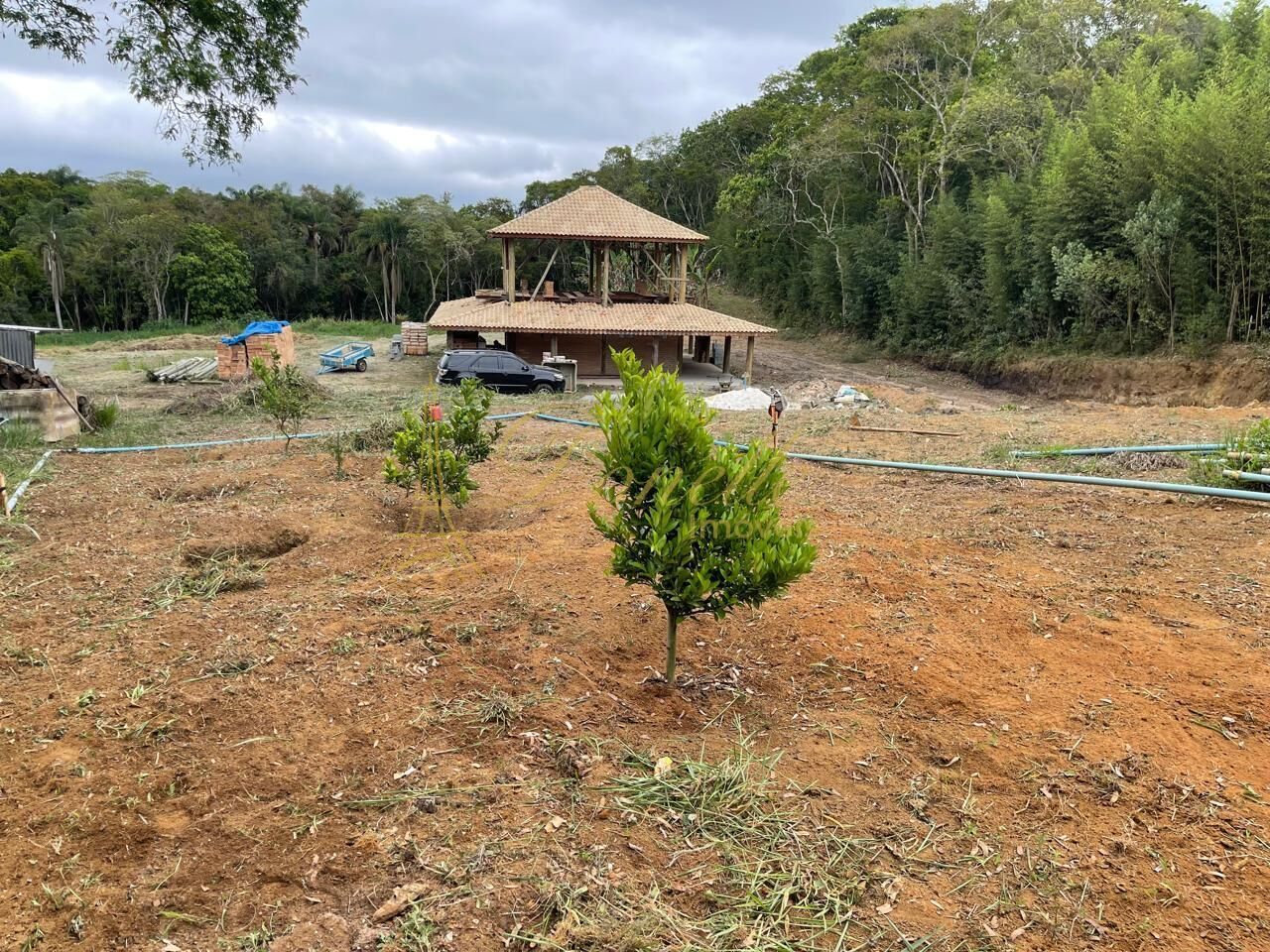Chácara, 2 quartos, 2 hectares - Foto 10