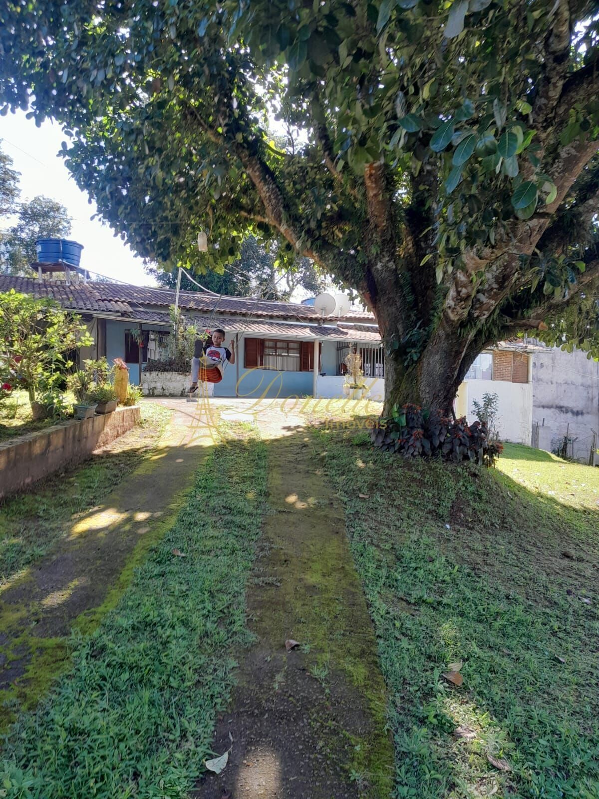 Chácara, 2 quartos, 2040 m² - Foto 7