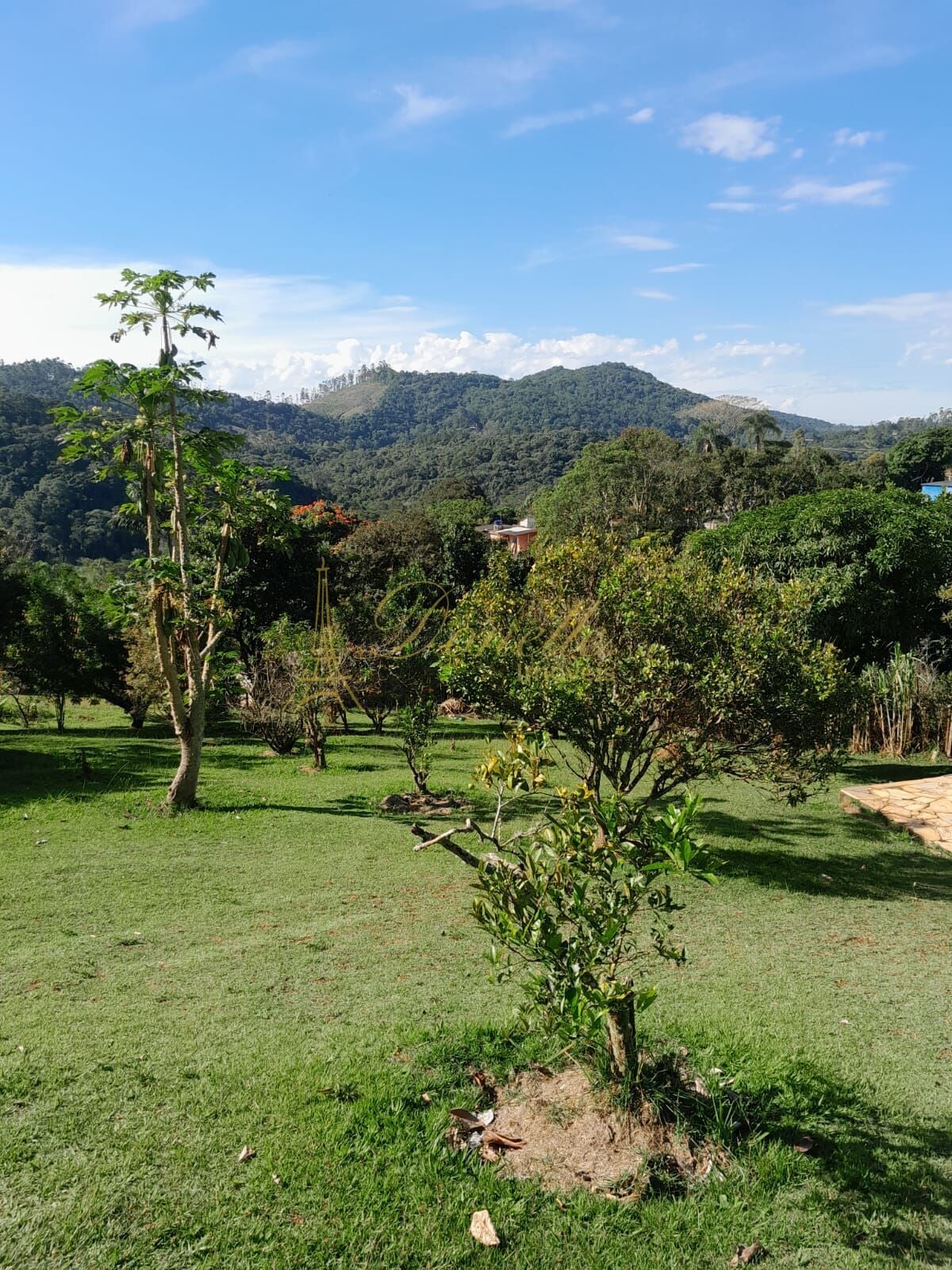 Chácara, 2 quartos, 2040 m² - Foto 1