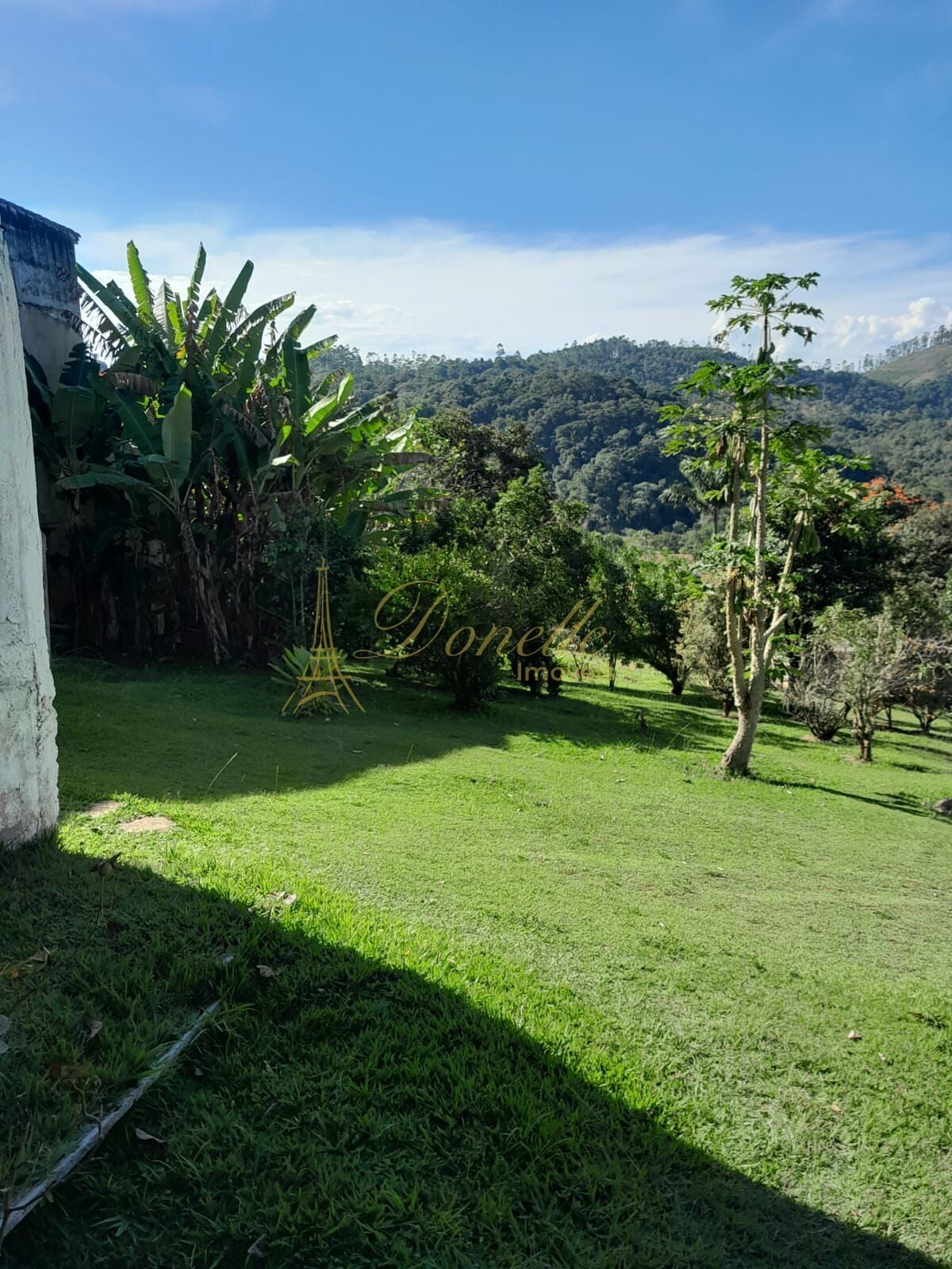 Chácara, 2 quartos, 2040 m² - Foto 8