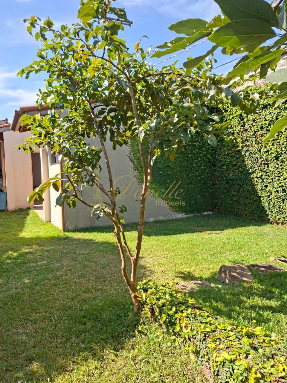 Casa, 3 quartos, 252 m² - Foto 19