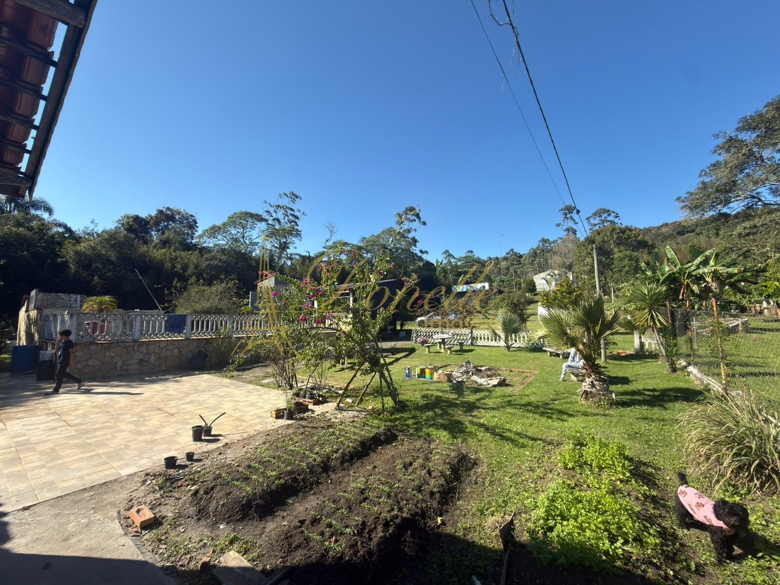 Chácara, 3 quartos, 7000 m² - Foto 1