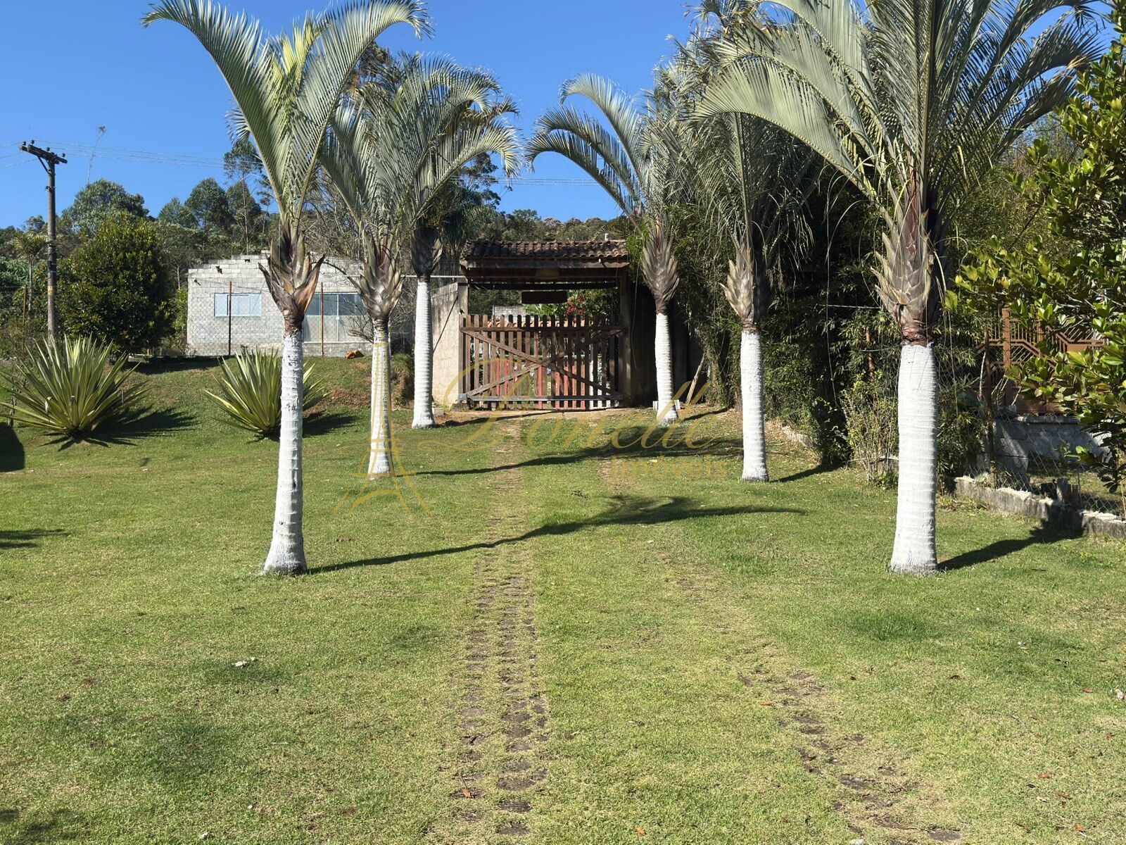 Chácara, 3 quartos, 7000 m² - Foto 10