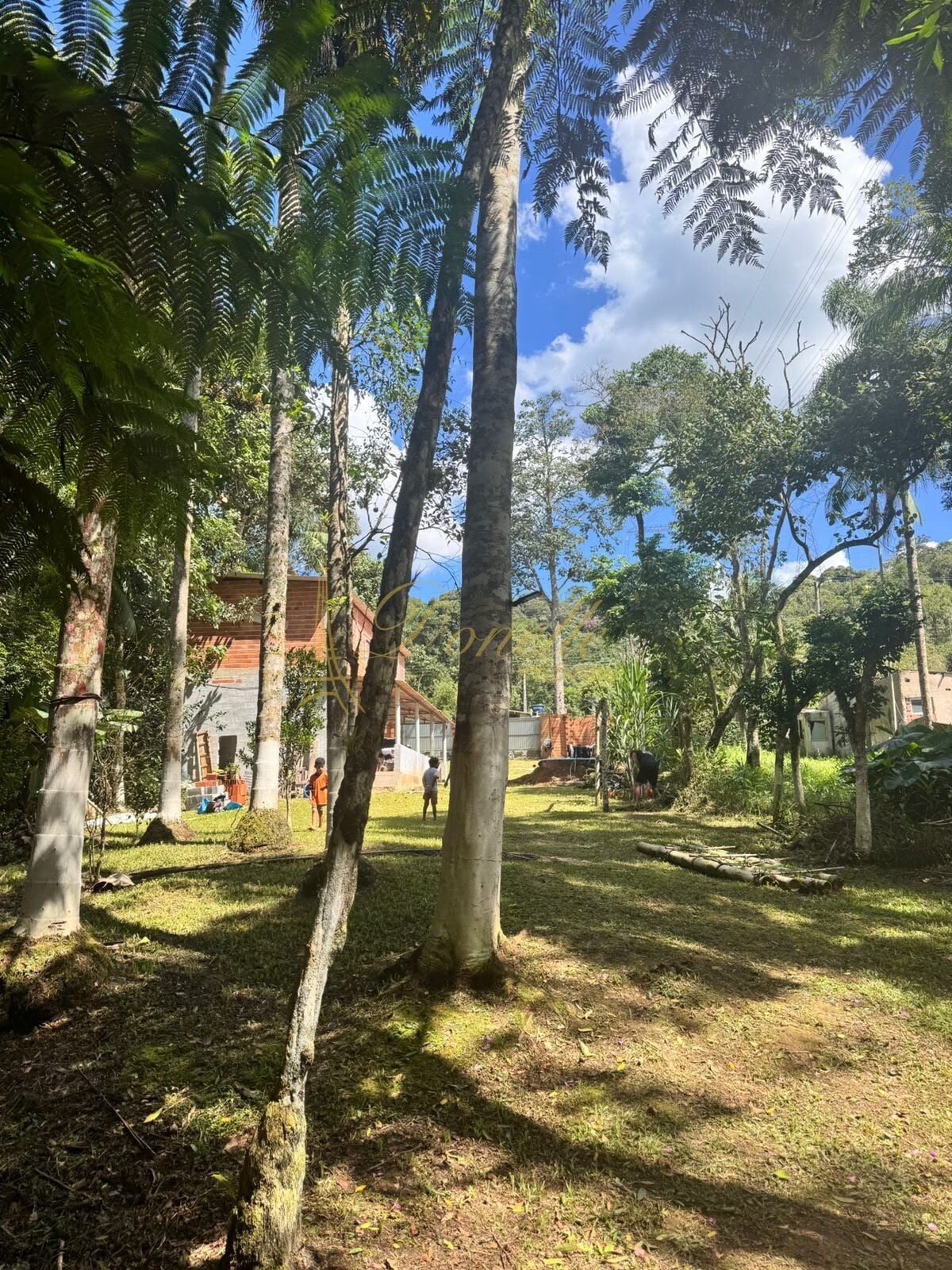 Sítio, 2 quartos, 2750 m² - Foto 7