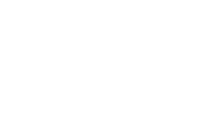 Janaina Rocha Dummer