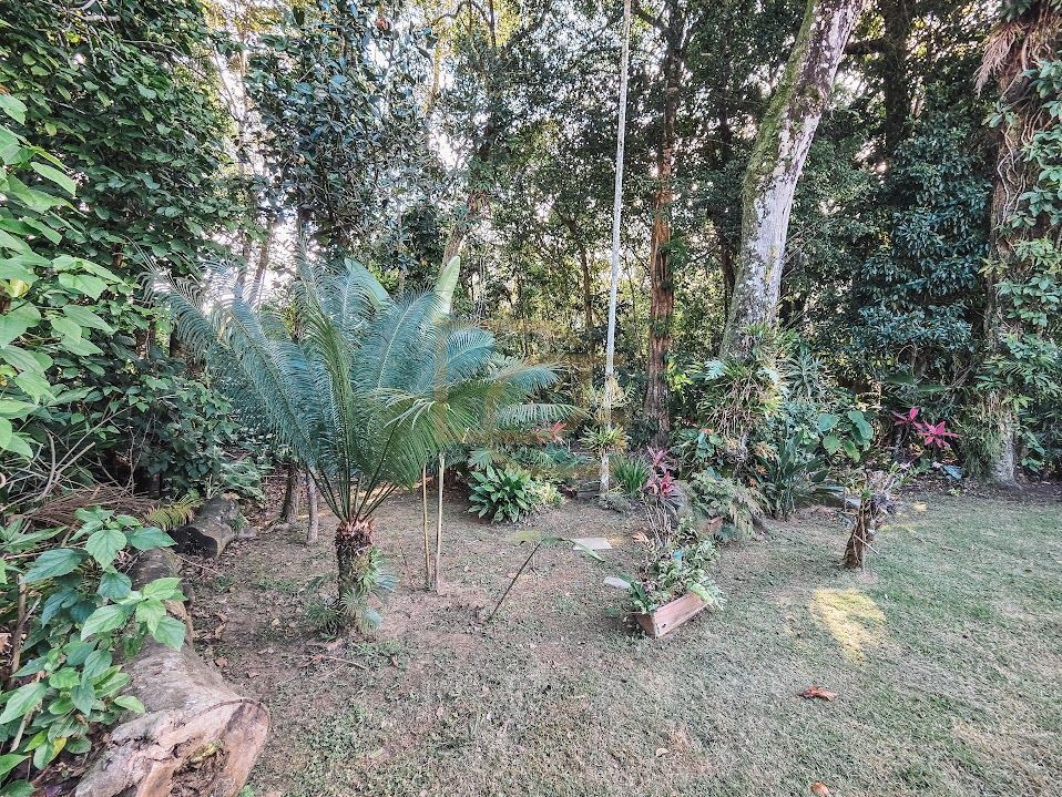 Casa, 4 quartos, 308 m² - Foto 25