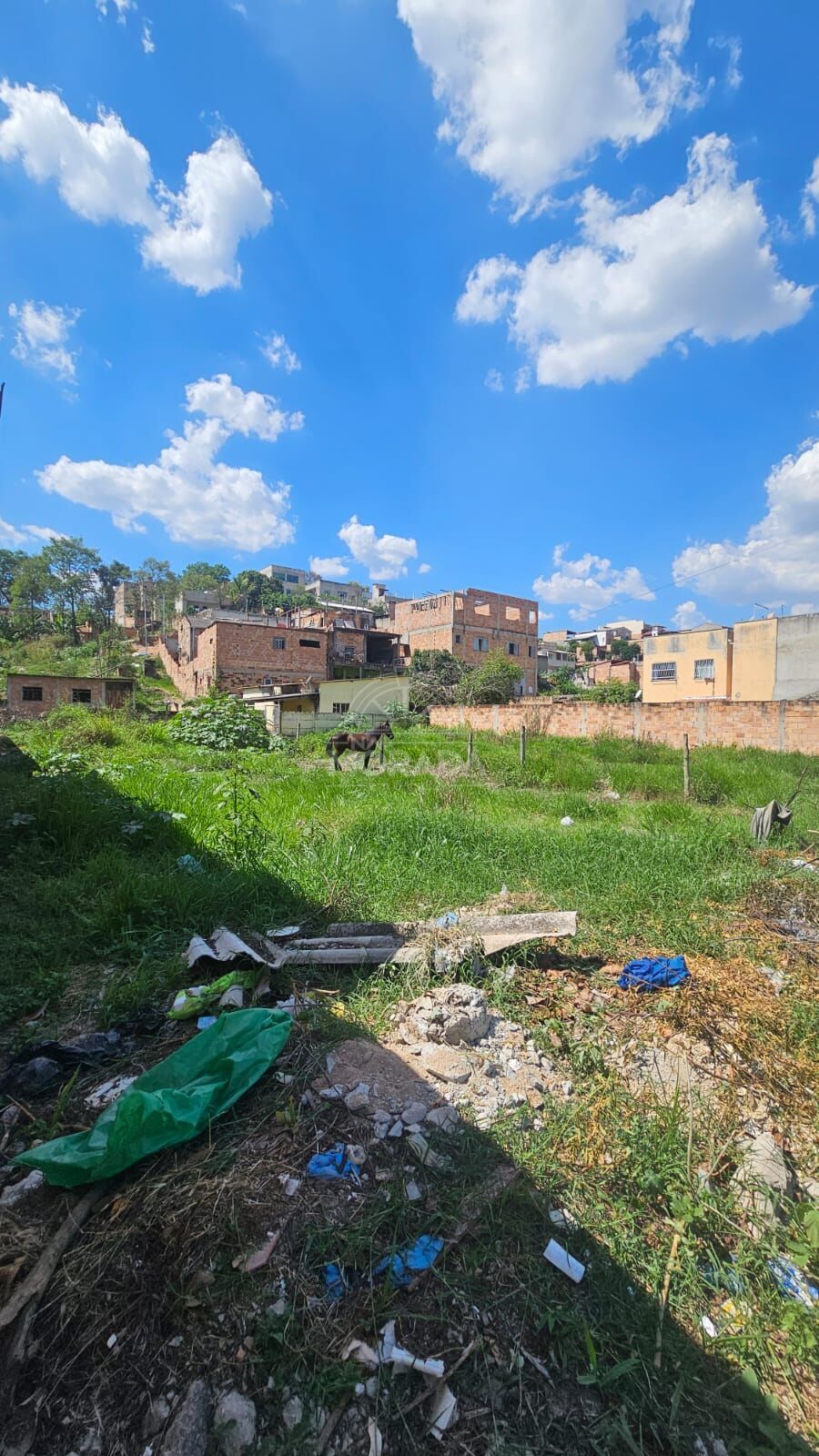 Terreno, 720 m² - Foto 7