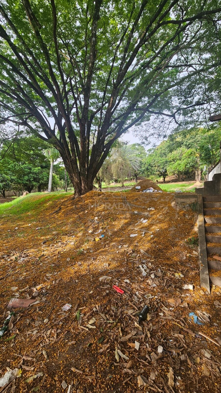 Terreno, 400 m² - Foto 6