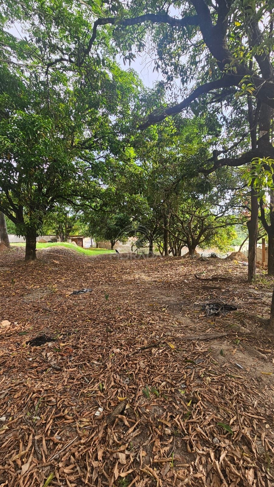 Terreno, 400 m² - Foto 7