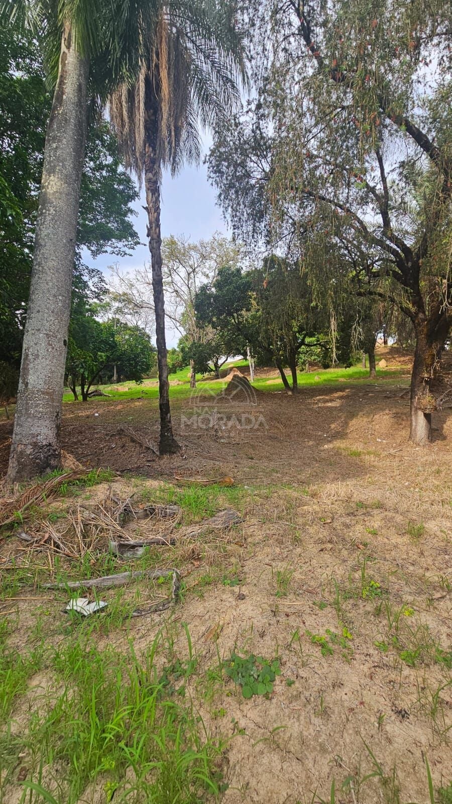 Terreno, 400 m² - Foto 5