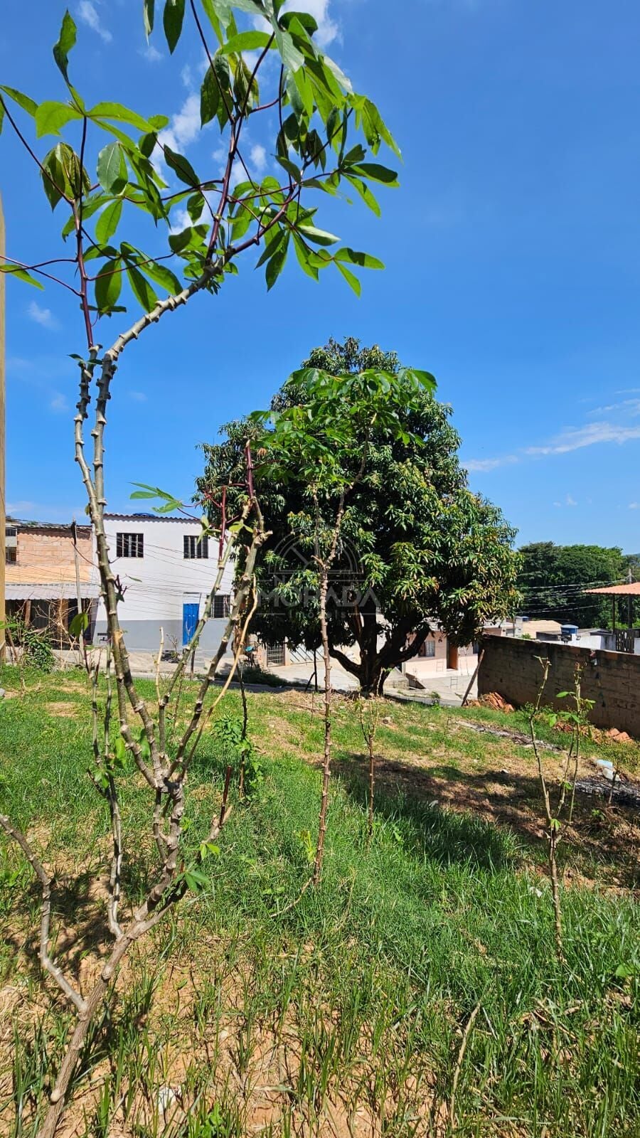 Terreno, 180 m² - Foto 1
