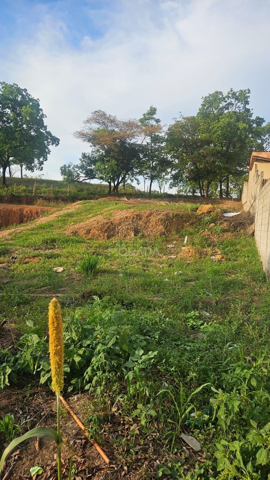 Terreno, 600 m² - Foto 7