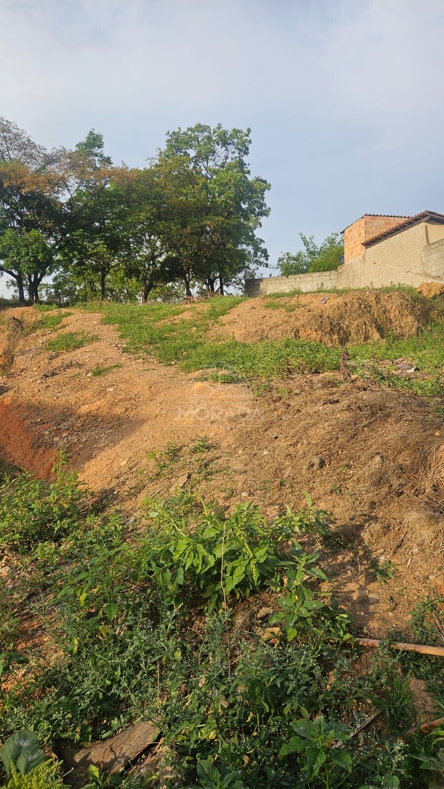 Terreno, 600 m² - Foto 8