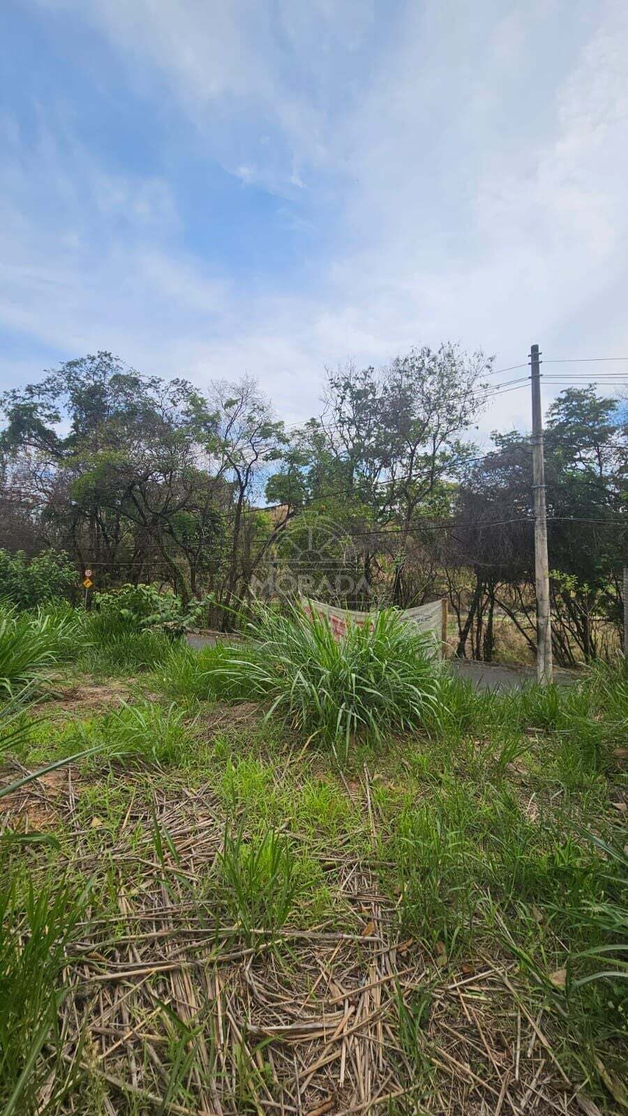 Terreno, 372 m² - Foto 11