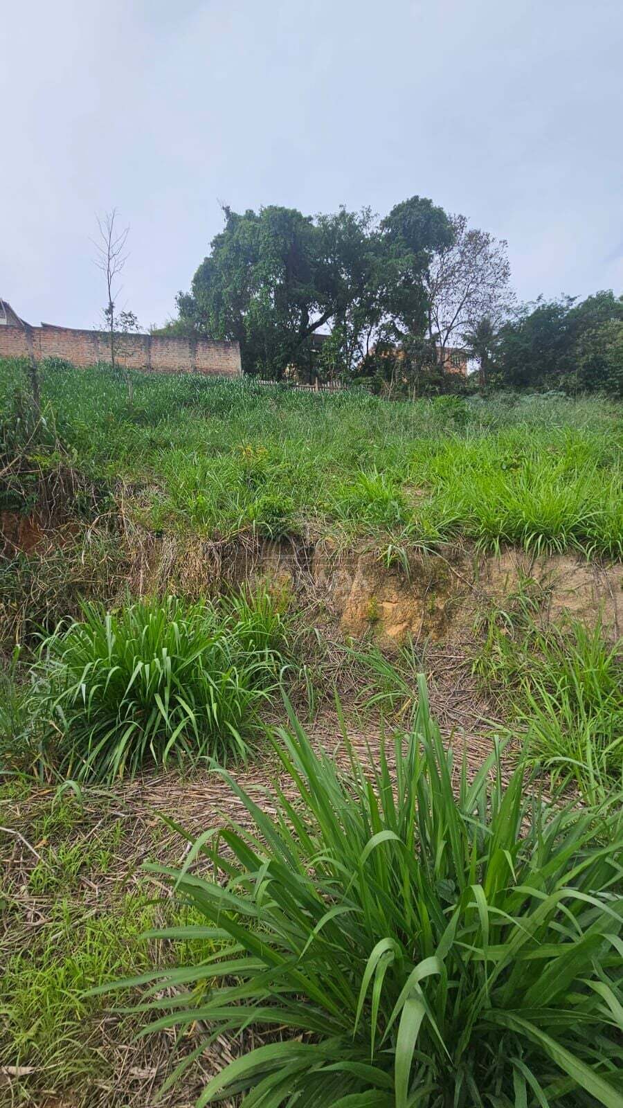 Terreno, 372 m² - Foto 8