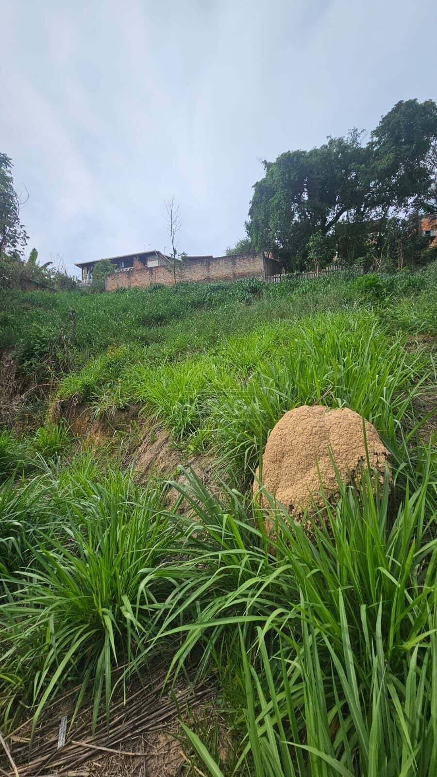 Terreno, 372 m² - Foto 7