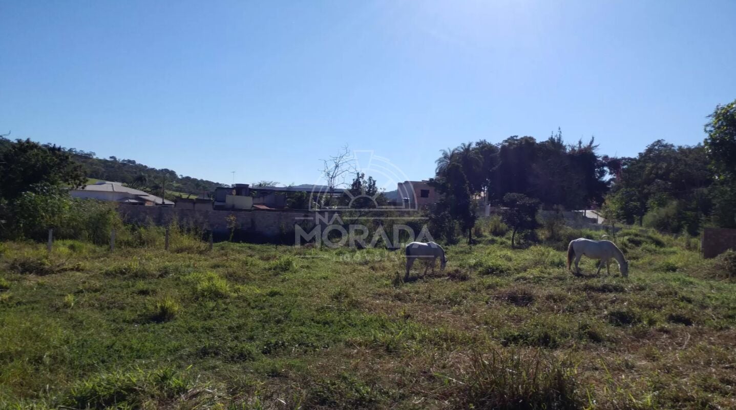 Terreno, 360 m² - Foto 5