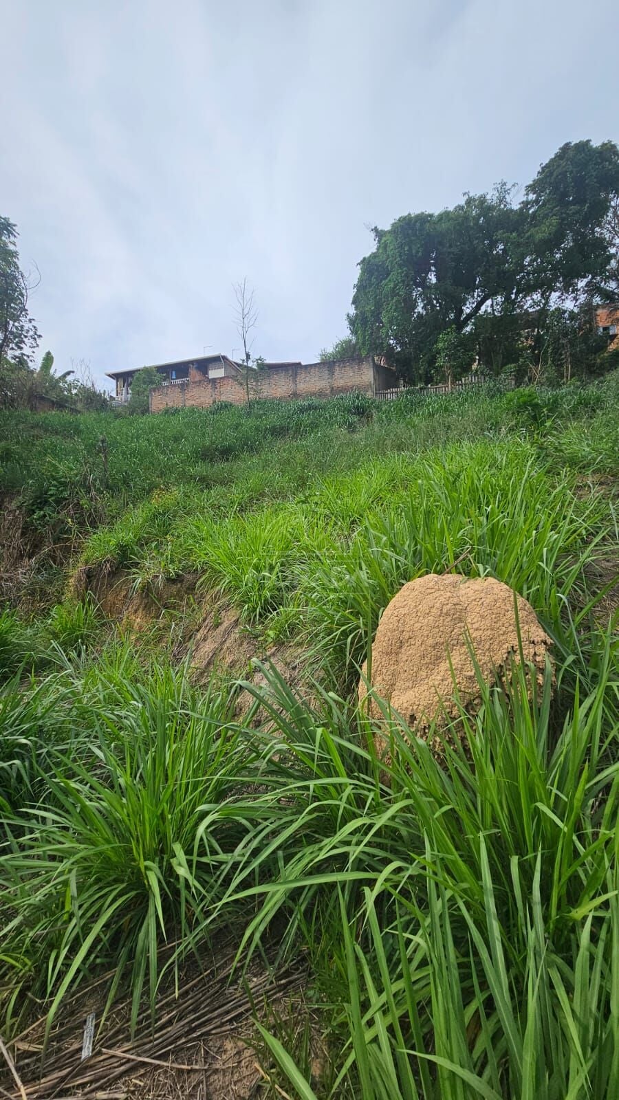Terreno, 793 m² - Foto 7