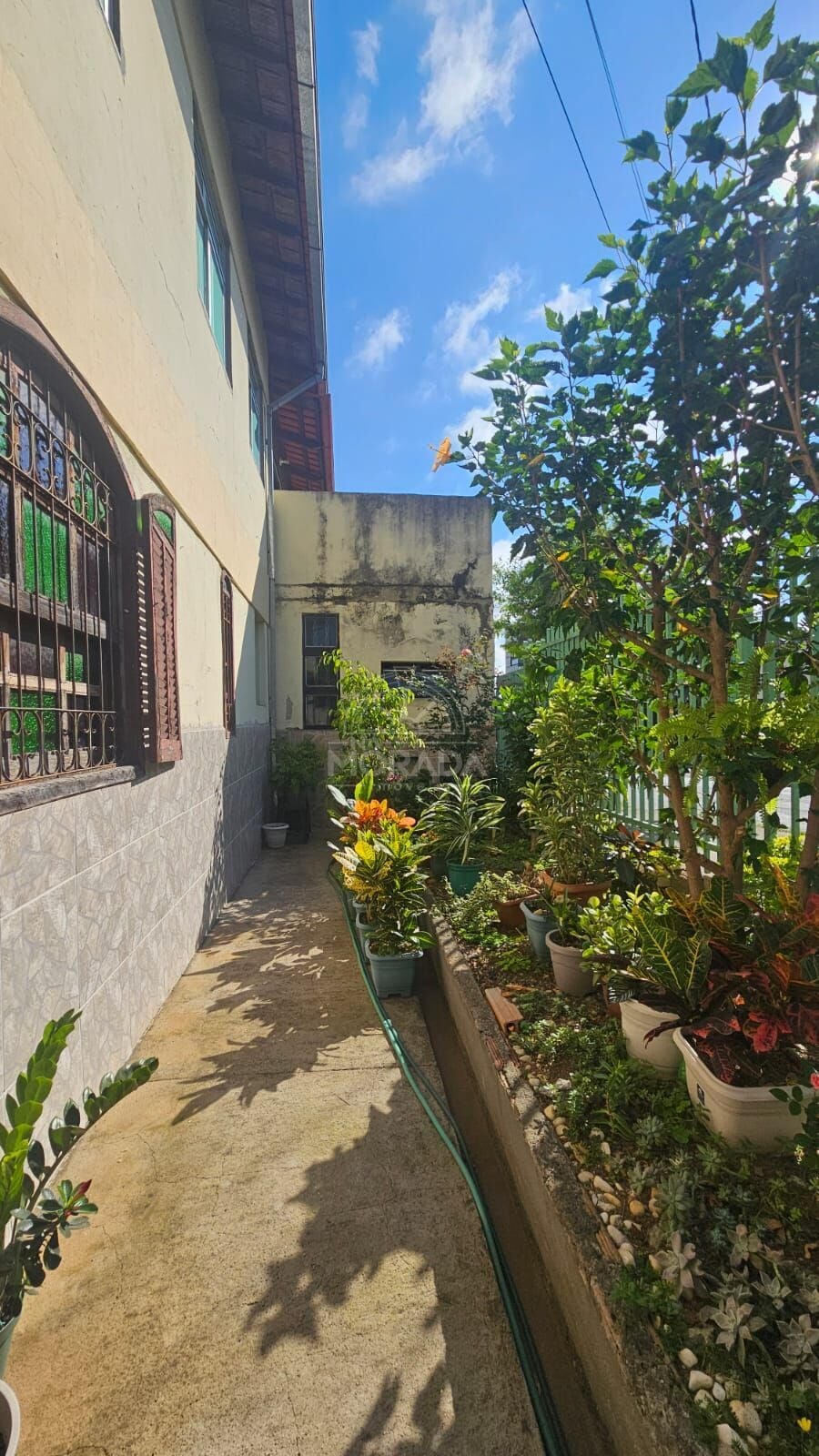 Apartamento, 3 quartos, 80 m² - Foto 12