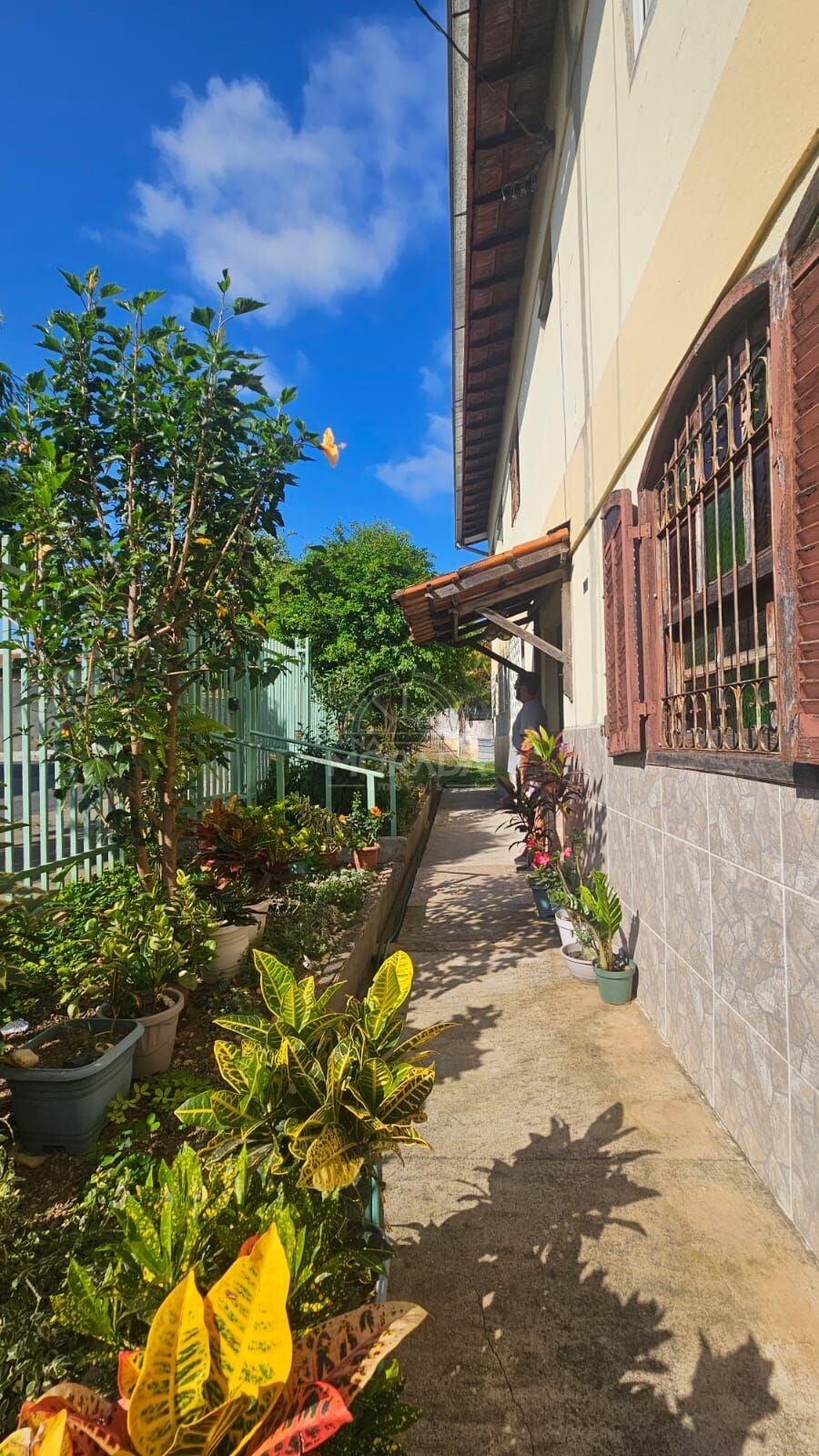 Apartamento, 3 quartos, 80 m² - Foto 14