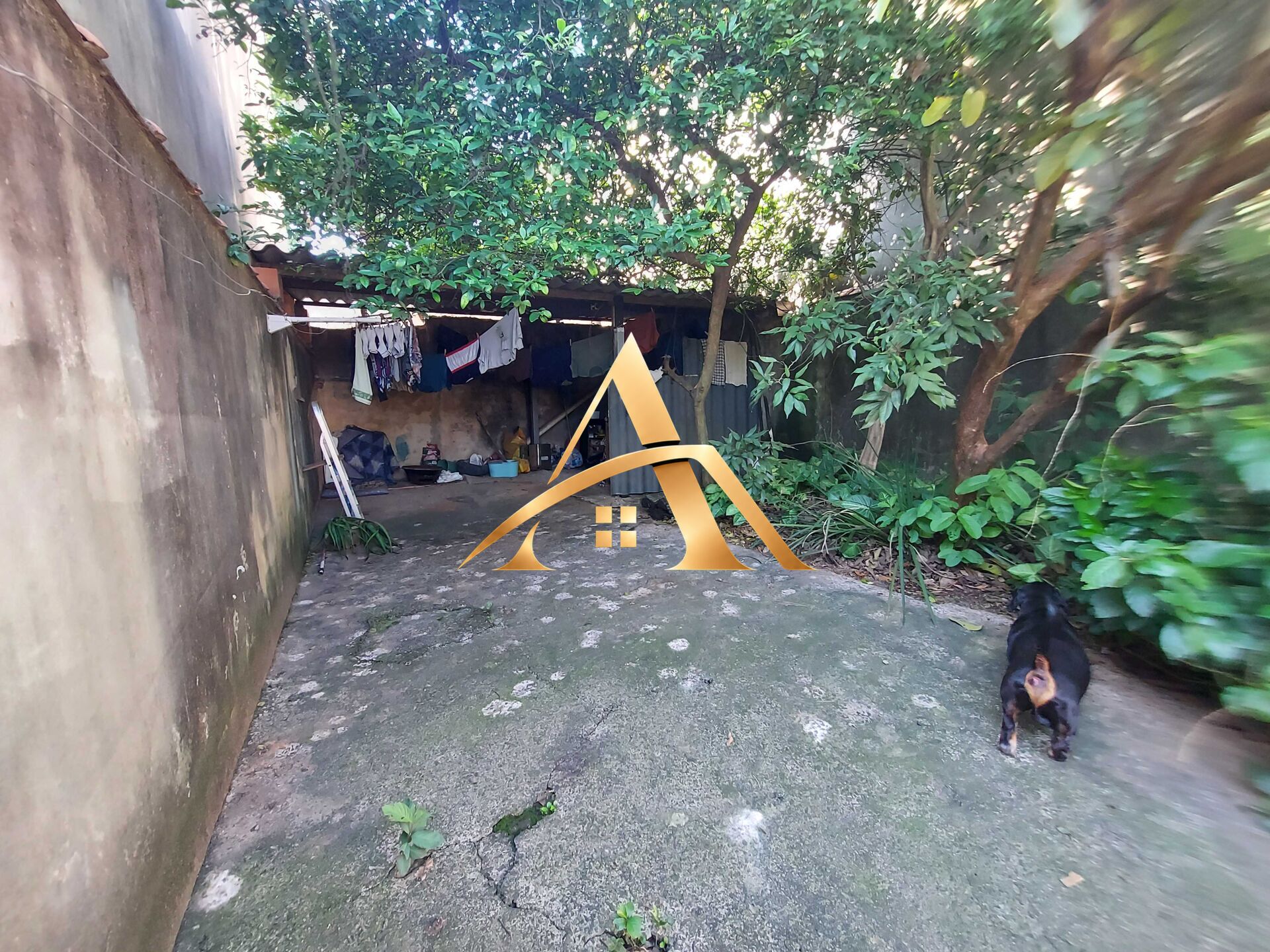 Casa, 2 quartos, 733 m² - Foto 13