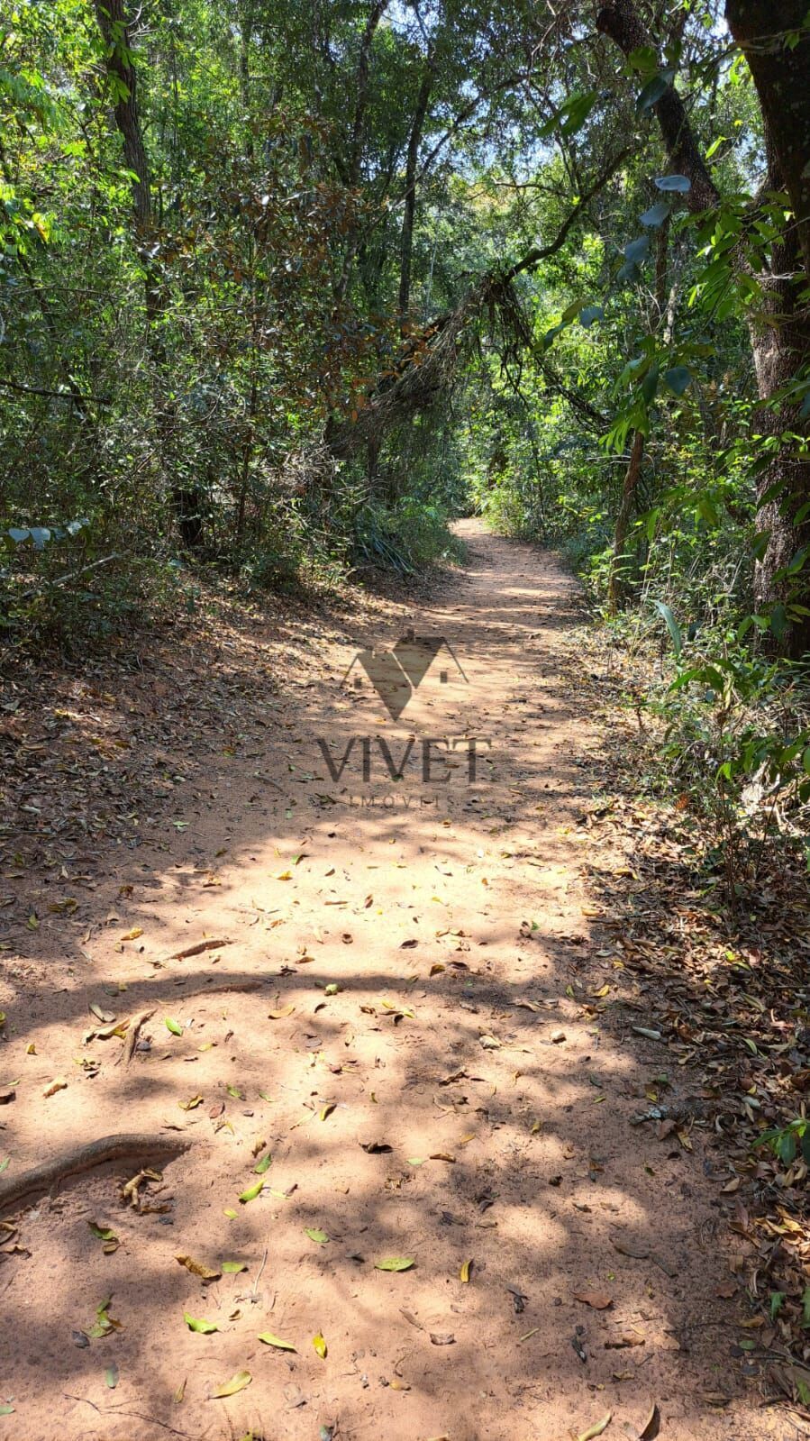 Terreno, 900 m² - Foto 8