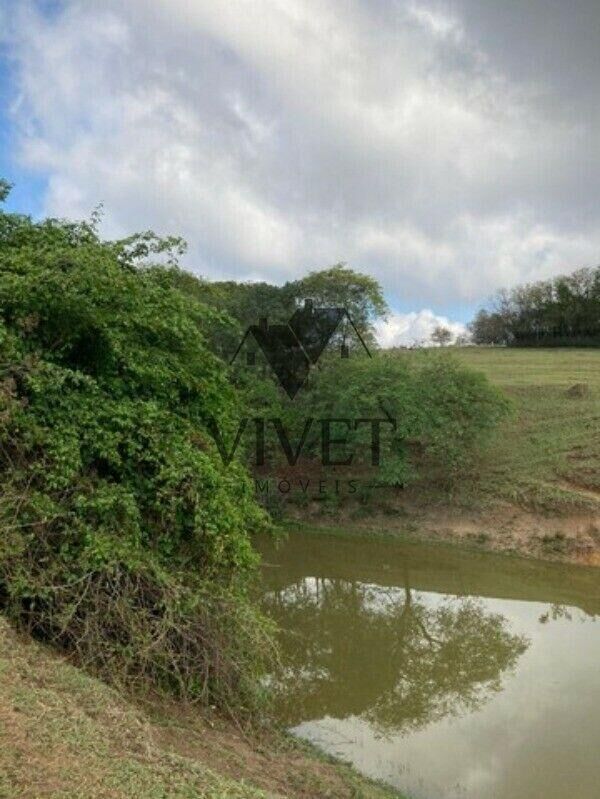 Chácara, 3 hectares - Foto 15