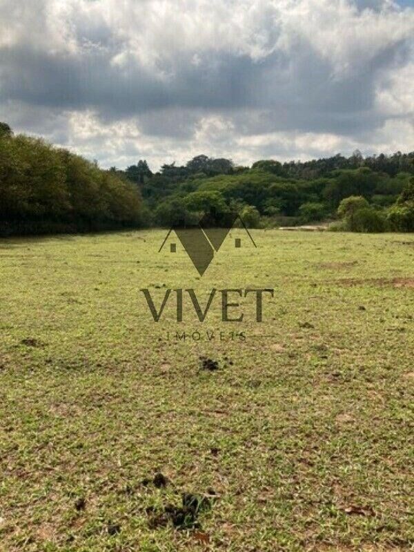 Chácara, 3 hectares - Foto 12