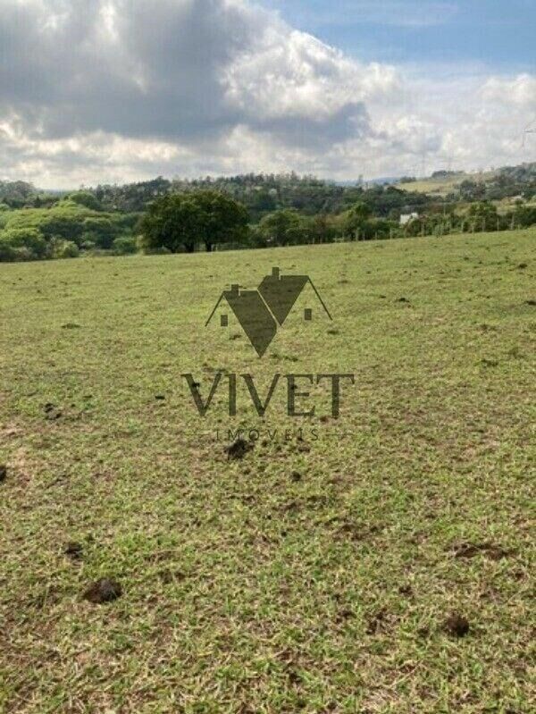 Chácara, 3 hectares - Foto 17