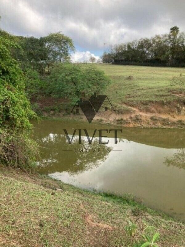Chácara, 3 hectares - Foto 4