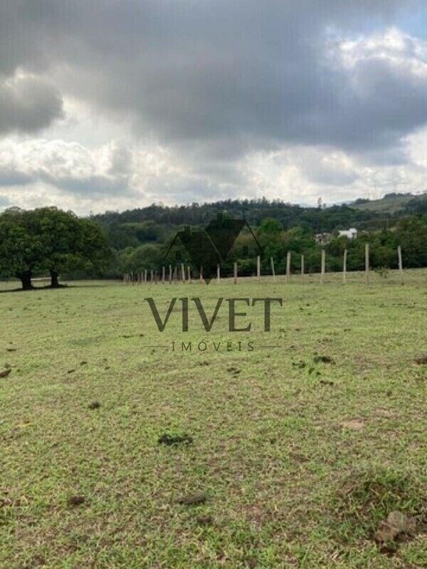 Chácara, 3 hectares - Foto 2