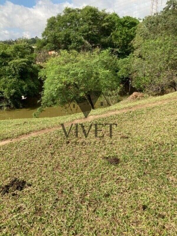 Chácara, 3 hectares - Foto 8